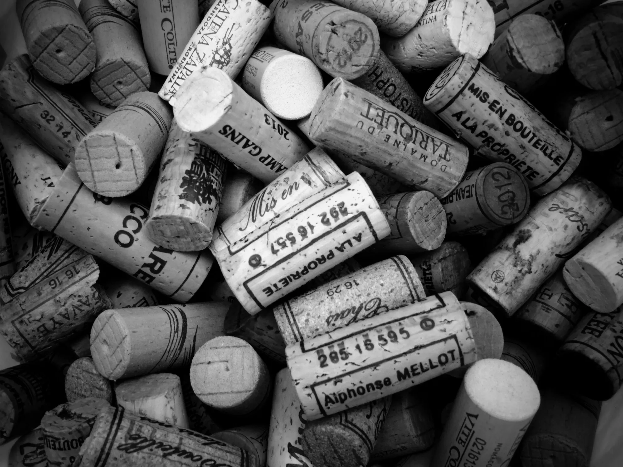 6 Razones por las que Arte y Vino Son la Combinación Perfecta